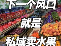 水果店私域流量实战指南：用港鲜达小程序实现“精准锁客+持续复购”