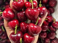 水果商家必读：搭建微信小程序商城需要准备什么？