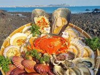 【海鲜卖家必读】突破区域壁垒！冷链包邮策略让内陆订单激增40%实战指南