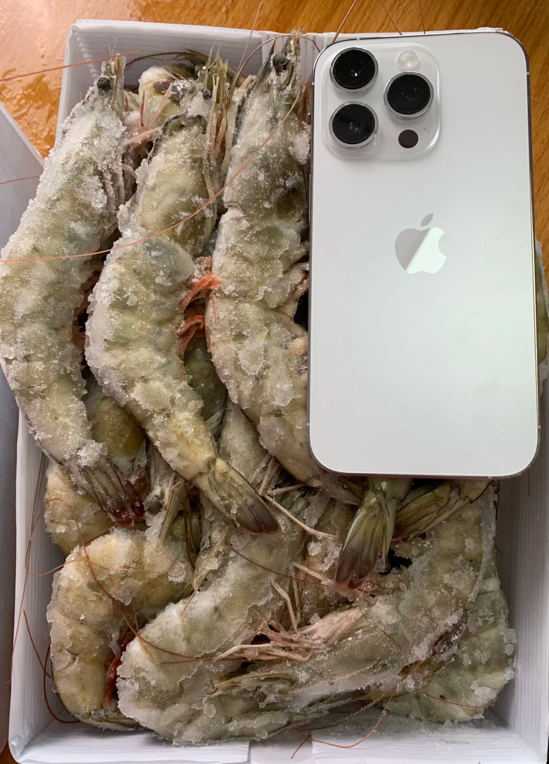 【港鲜达冷链爆品推荐】厄瓜多尔白虾一件代发，日均千箱起订！解锁华东餐饮供应链新机遇