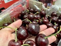 港鲜达水果行情快报 | 1月下旬车厘子、榴莲、火龙果最新行情解析