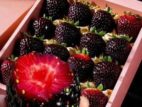 黑草莓300元/斤背后：一场供需失衡的产业实验